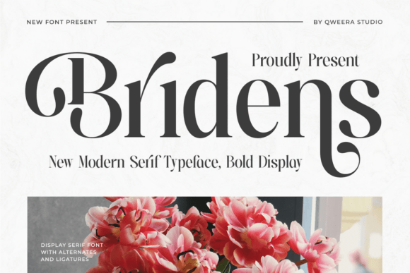 Bridens: A Serif Font That Elevates Your Handmade Creations